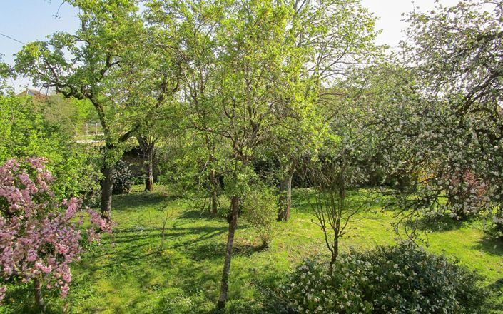 Image No.4-6 Bed House for sale