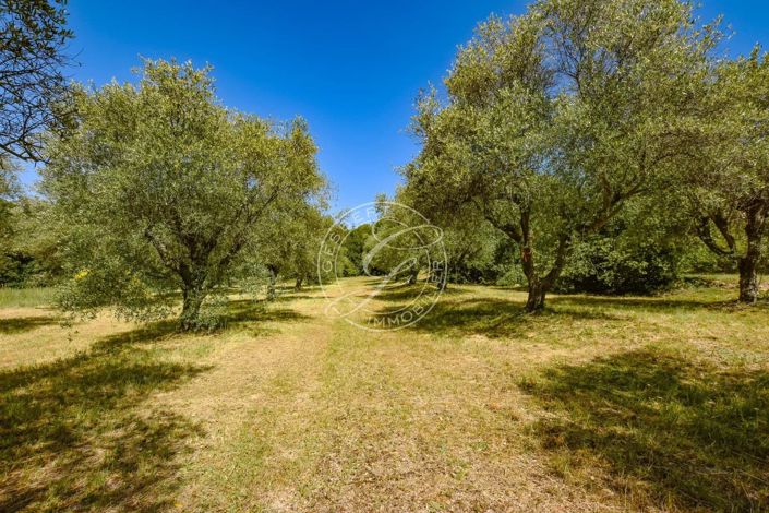Image No.34-Maison de 4 chambres à vendre à Tourtour