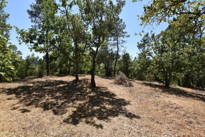 Image No.25-5 Bed House for sale