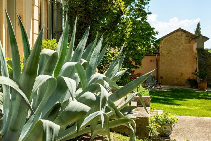 Image No.14-Propriété de 14 chambres à vendre à Beaumes-de-Venise