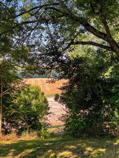 Image No.16-3 Bed House for sale