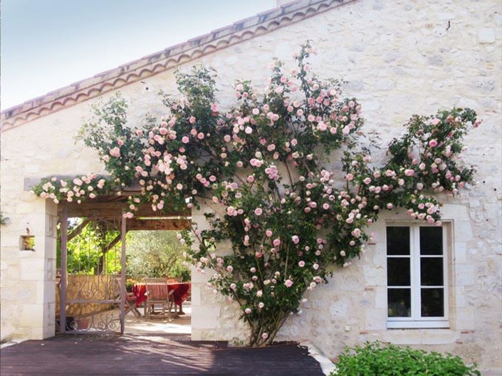 Image No.20-Propriété de 5 chambres à vendre à Saint-Mézard