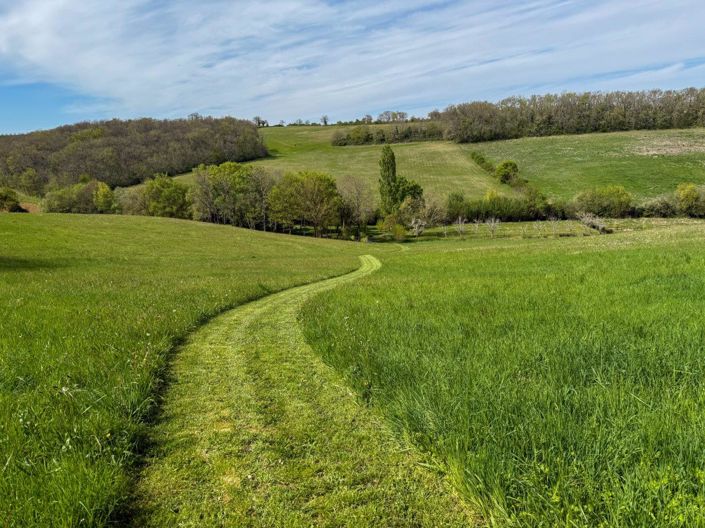 Image No.5-6 Bed Property for sale