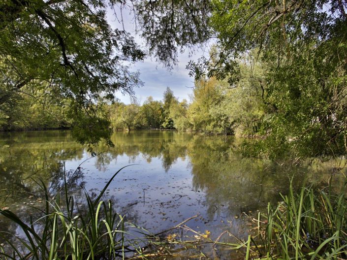 Image No.5-Maison de 3 chambres à vendre à Vic-Fezensac