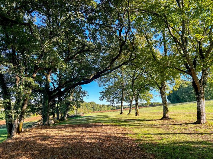 Image No.20-7 Bed Property for sale