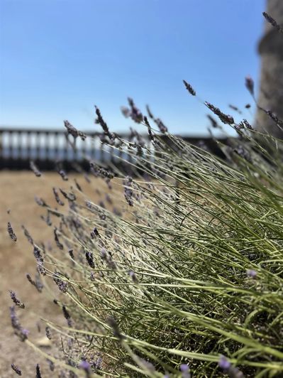 Image No.11-10 Bed House for sale