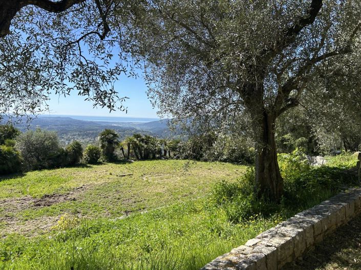 Image No.8-10 Bed House for sale