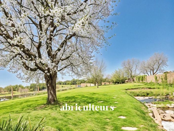 Image No.16-5 Bed House for sale