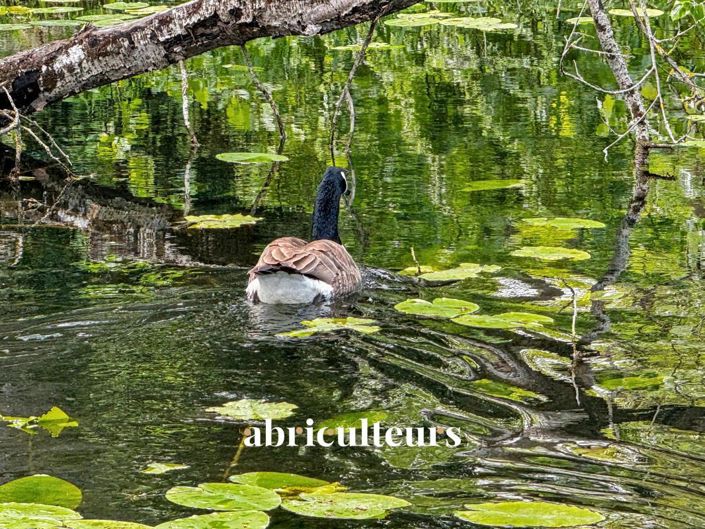 Image No.23-14 Bed House for sale