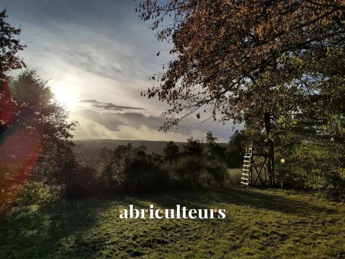 Image No.2-House for sale