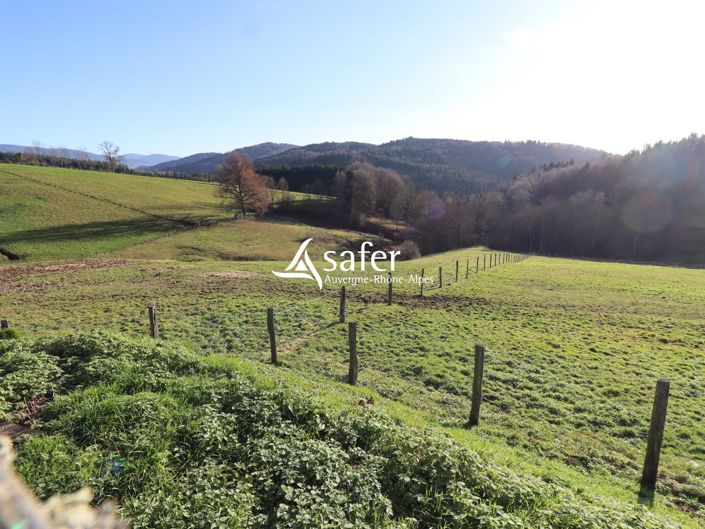 Image No.24-3 Bed House for sale