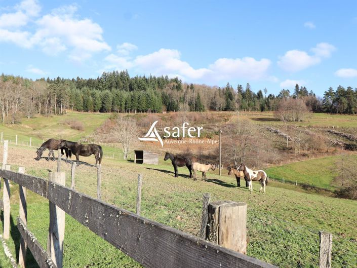 Image No.28-3 Bed House for sale