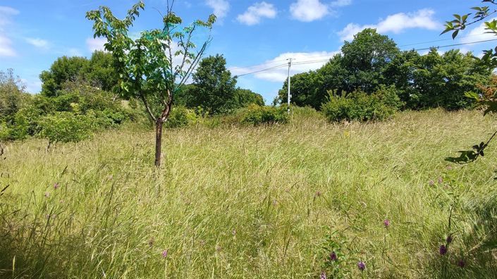 Image No.19-Maison de 3 chambres à vendre à Lacour