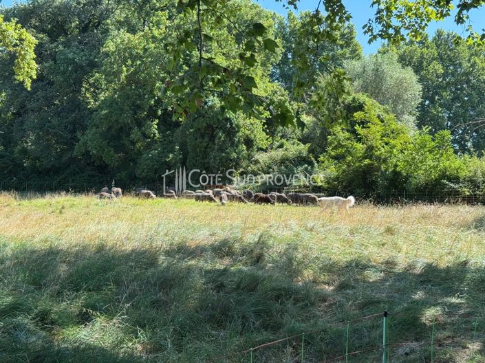 Image No.54-House for sale