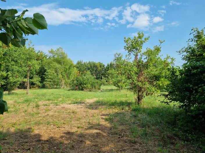 Image No.7-Maison de 5 chambres à vendre à Lurs