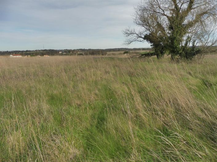 Image No.11-2 Bed House for sale