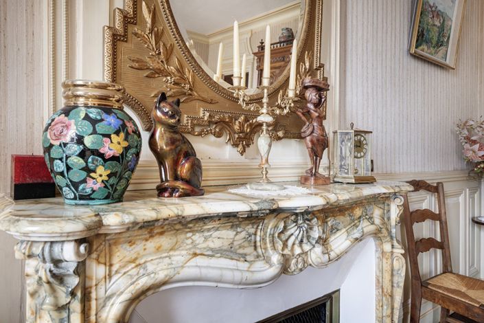 Image No.5-Maison de 8 chambres à vendre à Villefranche-sur-Saône