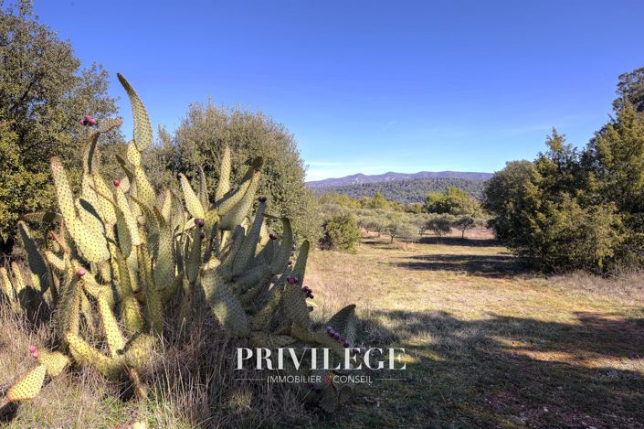 Image No.50-Maison de 9 chambres à vendre à Moissac-Bellevue