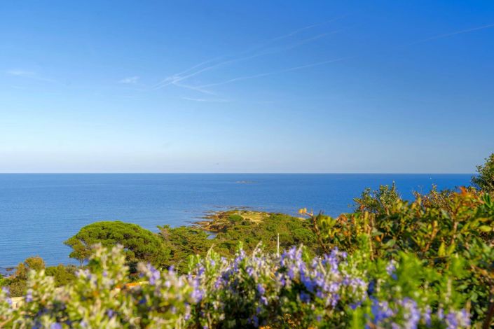 Image No.19-5 Bed House for sale