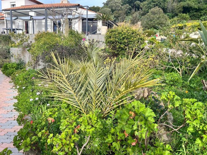 Image No.4-Maison de 4 chambres à vendre à Roquebrune-sur-Argens