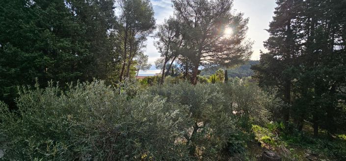 Image No.6-6 Bed Property for sale