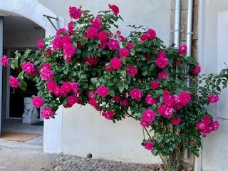 Image No.25-4 Bed House for sale