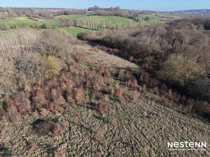 Image No.22-Maison de 3 chambres à vendre à Caussens
