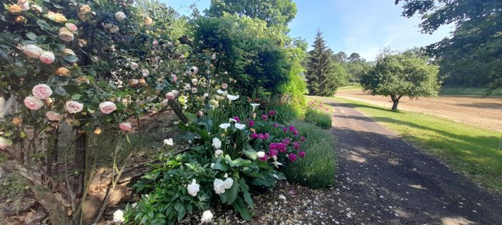 Image No.13-6 Bed House for sale