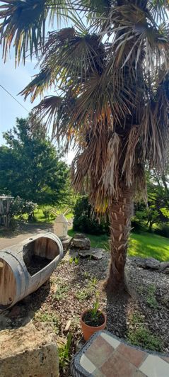 Image No.26-6 Bed House for sale