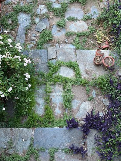 Image No.18-Maison de 5 chambres à vendre à Oletta