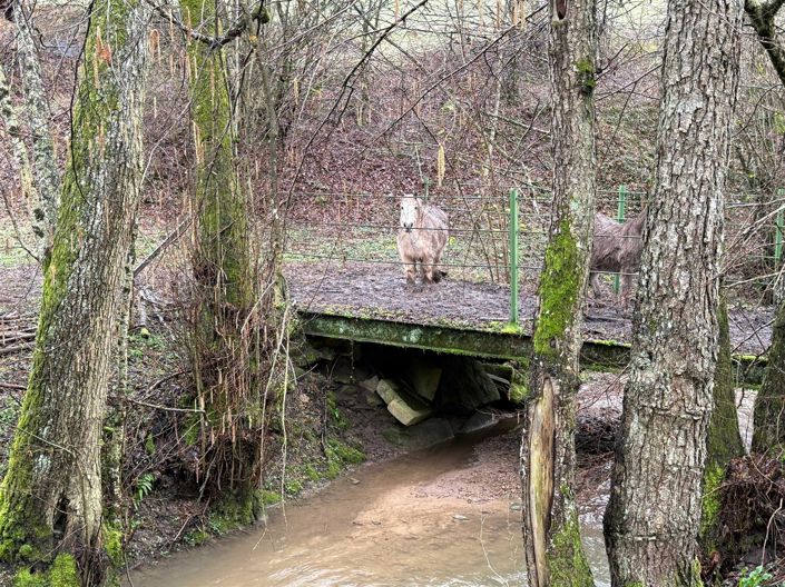 Image No.42-Propriété à vendre à Viviers-le-Gras