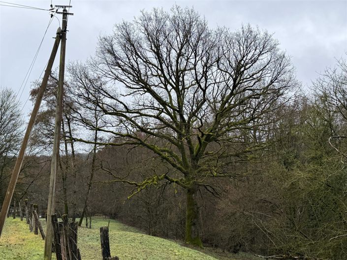 Image No.43-Propriété à vendre à Viviers-le-Gras