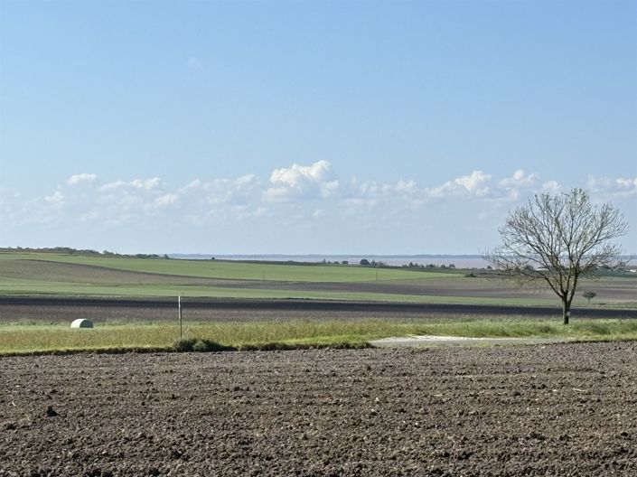 Image No.34-5 Bed House for sale