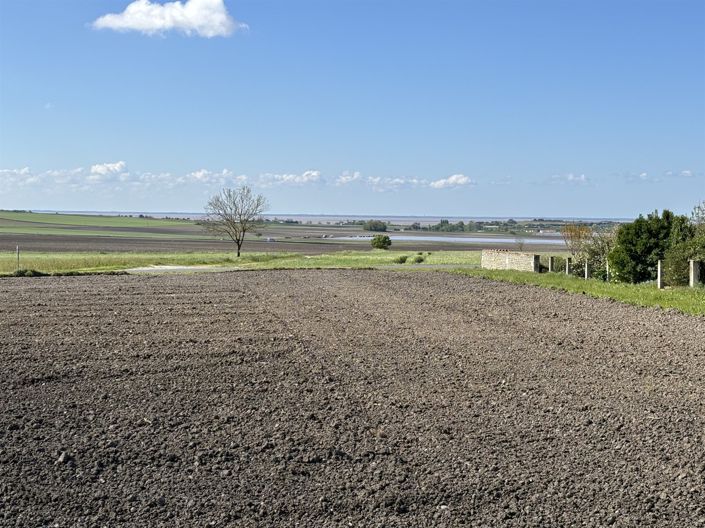 Image No.43-5 Bed House for sale