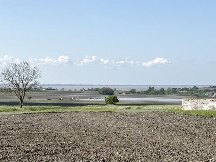 Image No.6-5 Bed House for sale