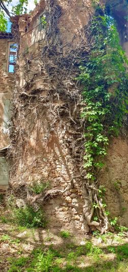 Image No.10-House for sale