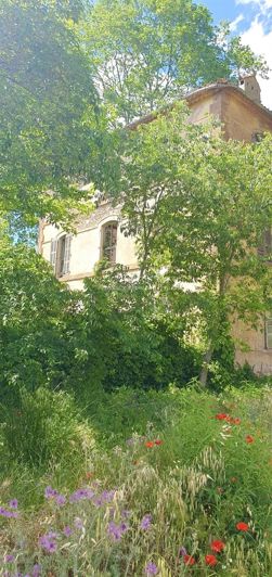 Image No.11-House for sale