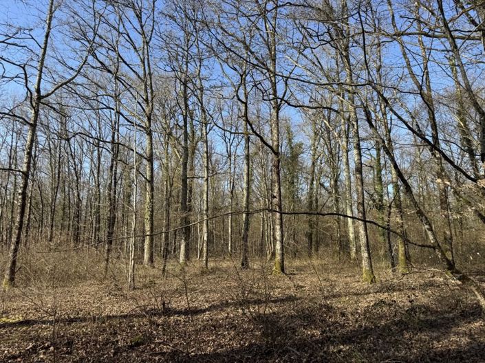 Image No.16-Maison de 3 chambres à vendre à Vendœuvres