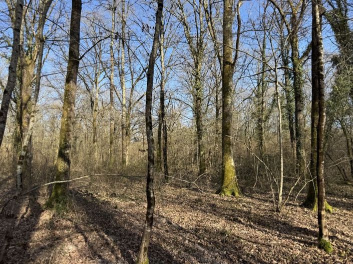 Image No.17-Maison de 3 chambres à vendre à Vendœuvres