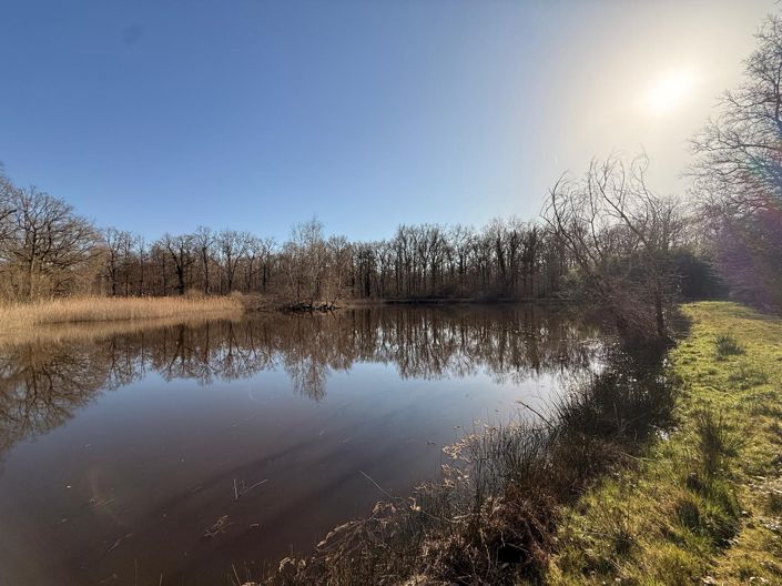 Image No.3-Maison de 3 chambres à vendre à Vendœuvres