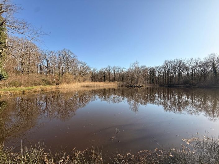 Image No.6-Maison de 3 chambres à vendre à Vendœuvres
