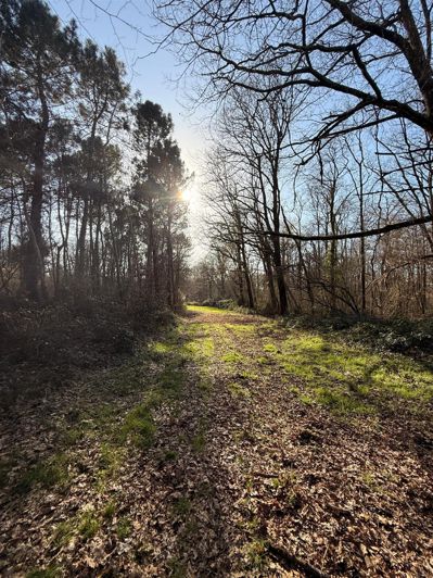 Image No.7-Maison de 3 chambres à vendre à Vendœuvres