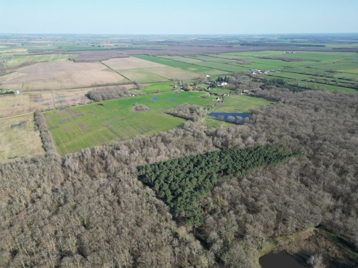 Image No.9-Maison de 3 chambres à vendre à Vendœuvres