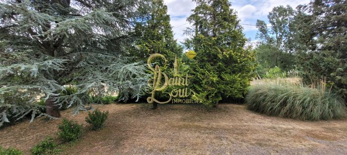 Image No.17-Maison de 4 chambres à vendre à Chinon