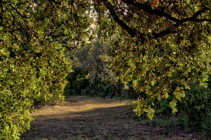 Image No.19-Maison de 2 chambres à vendre à Sommières