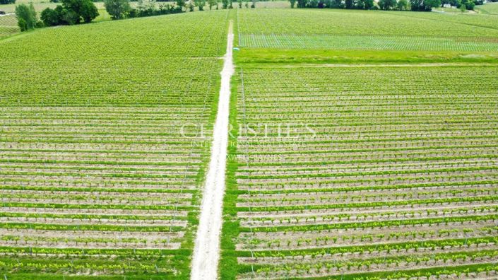 Image No.5-Maison de 7 chambres à vendre à Gironde