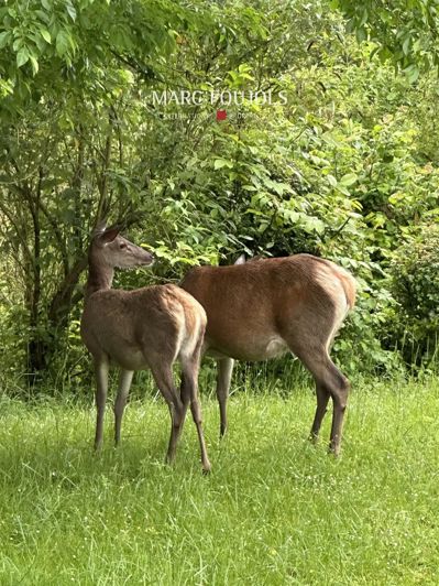 Image No.15-Maison de 4 chambres à vendre à Chantilly