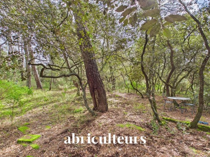 Image No.21-3 Bed House for sale