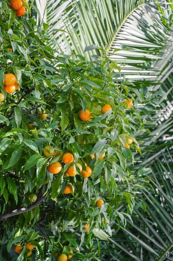 Image No.20-3 Bed Apartment for sale