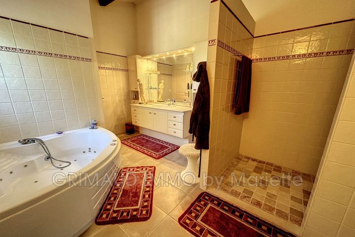 Image No.19-4 Bed House for sale